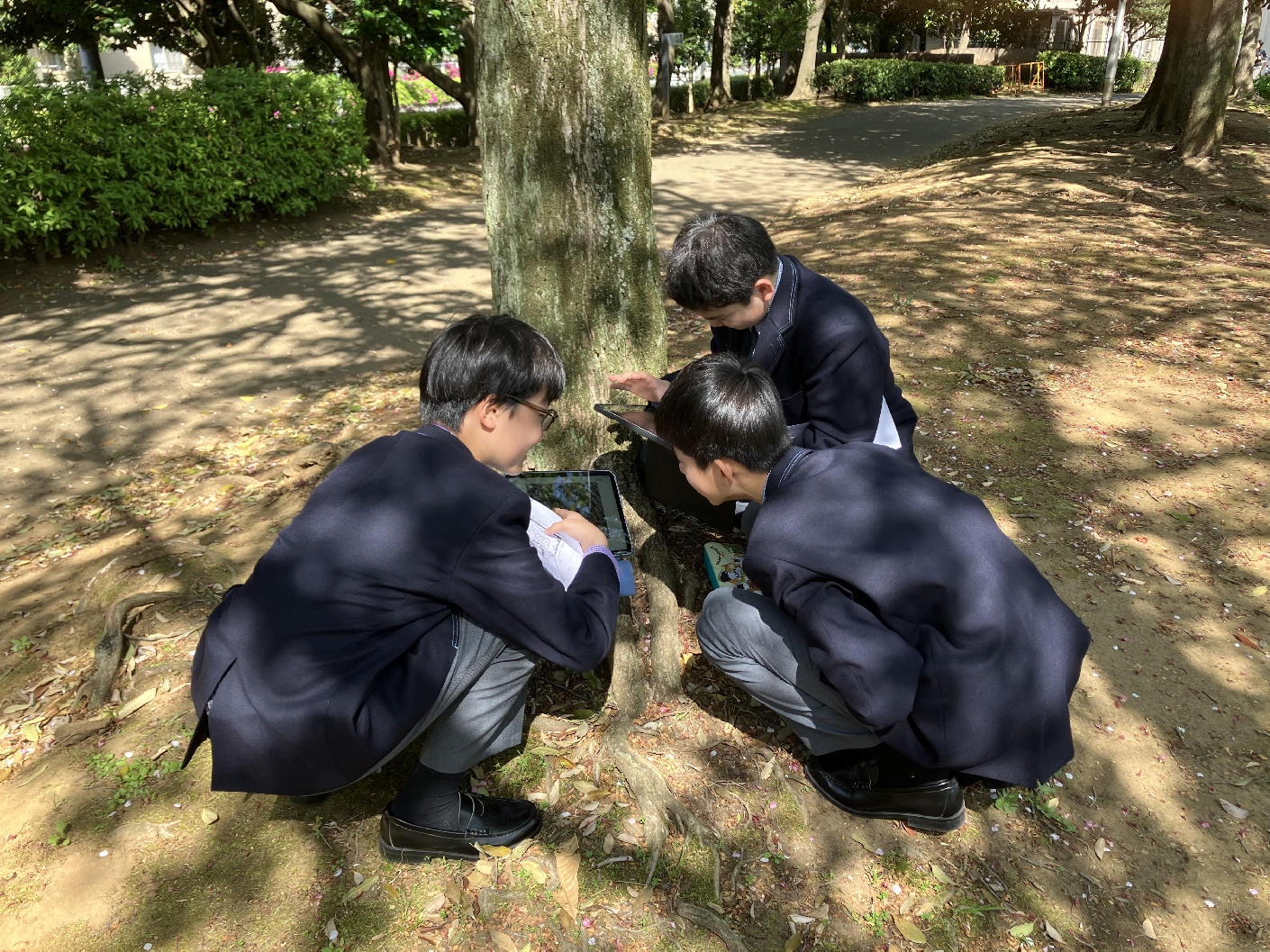 丁寧に観察する生徒たち